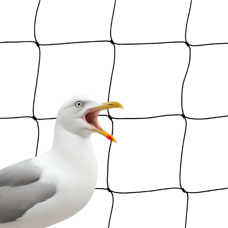 Seagull Netting 75mm Black